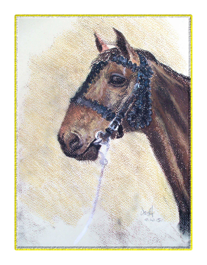 Pet portraits: Horse