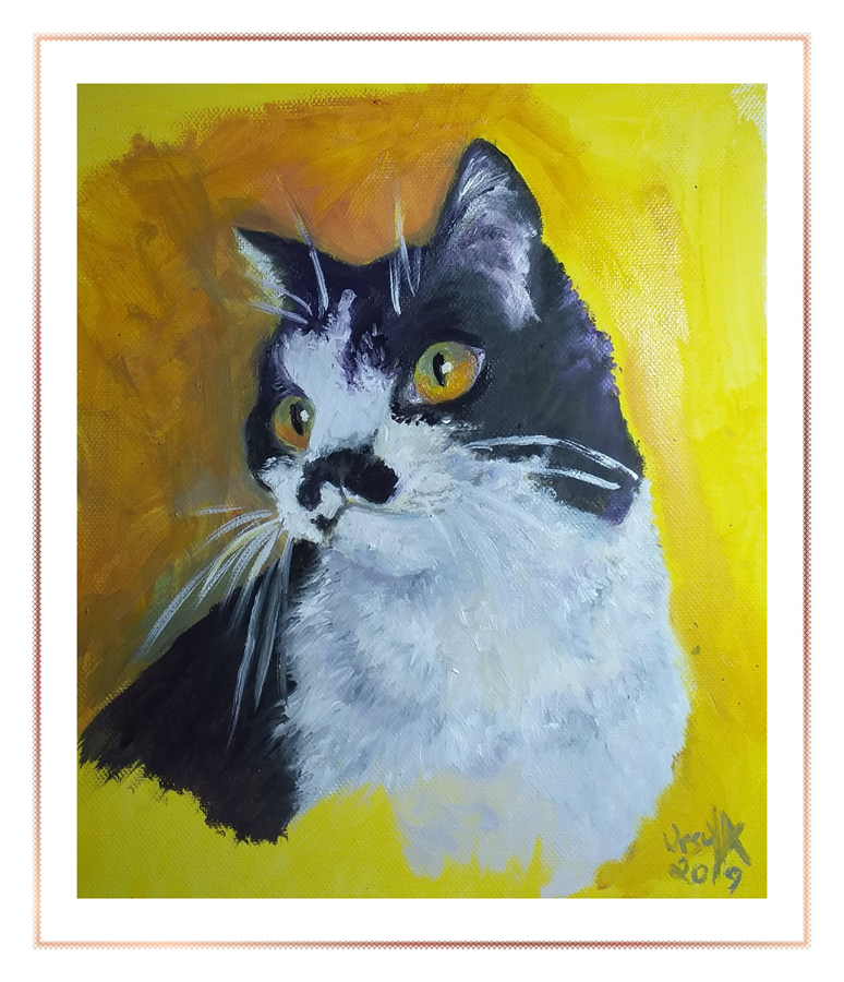 Pet portraits: Willow